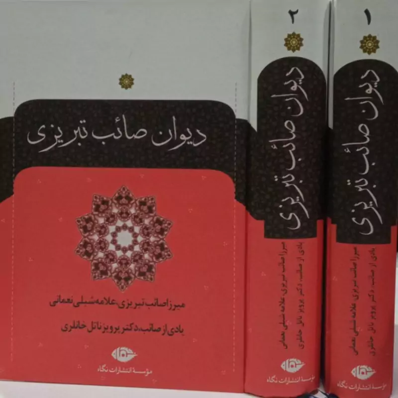 کتاب دیوان صائب تبریزی نویسنده محمدعلی صائب تبریزی نشر نگاه