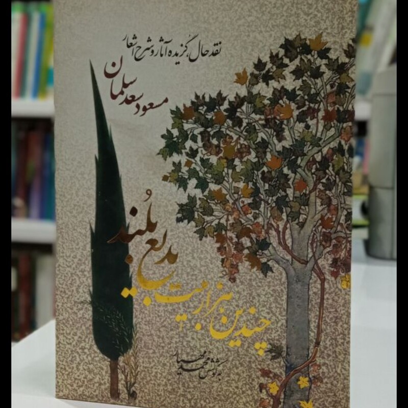 کتاب چندین هزار بیت بدیع بلند نویسنده محمد مهیار