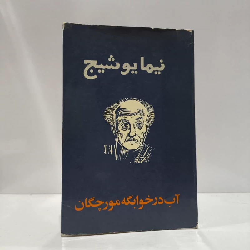 آب در خوابگه مورچگان نویسنده  نیما یوشیج