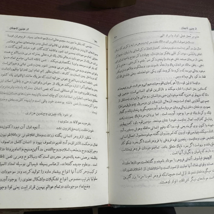از جنین تا جنان نویسنده محمدصادق عنقا