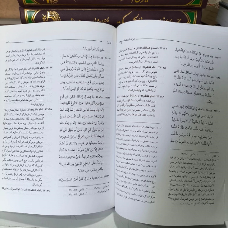 ترجمه کتاب میزان الحکمه (14 جلدی) محمد محمدی ری شهری