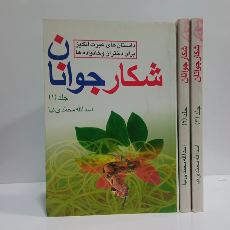 شکار جوان داستانهای عبرت انگیز برای دختران و خانواده ها 3جلدی نویسنده اسد الله محمدی نیا