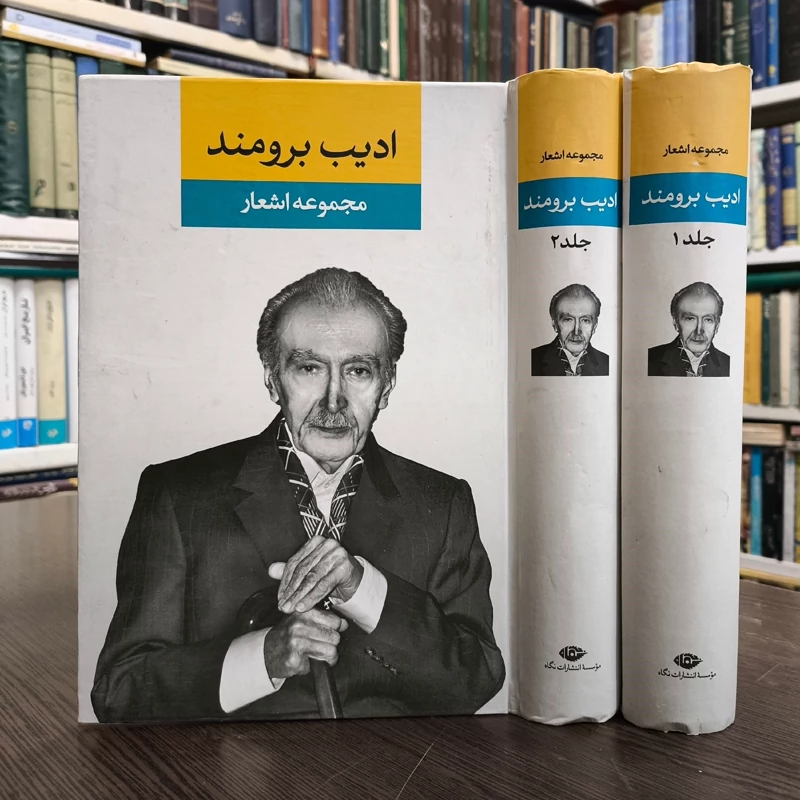 کتاب مجموعه اشعار ادیب برومند نویسنده ادیب برومند
