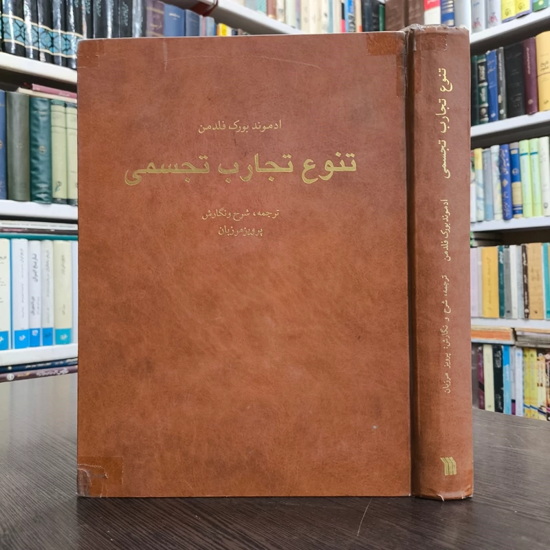 کتاب تنوع تجارب تجسمی نویسنده ادموند بورک فلدمن