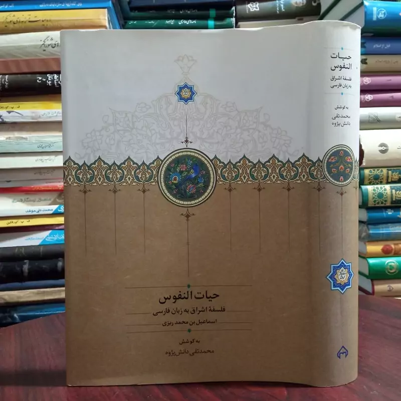 کتاب حیات النفوس اثر اسماعیل بن محمد ریزی نشر سخن
