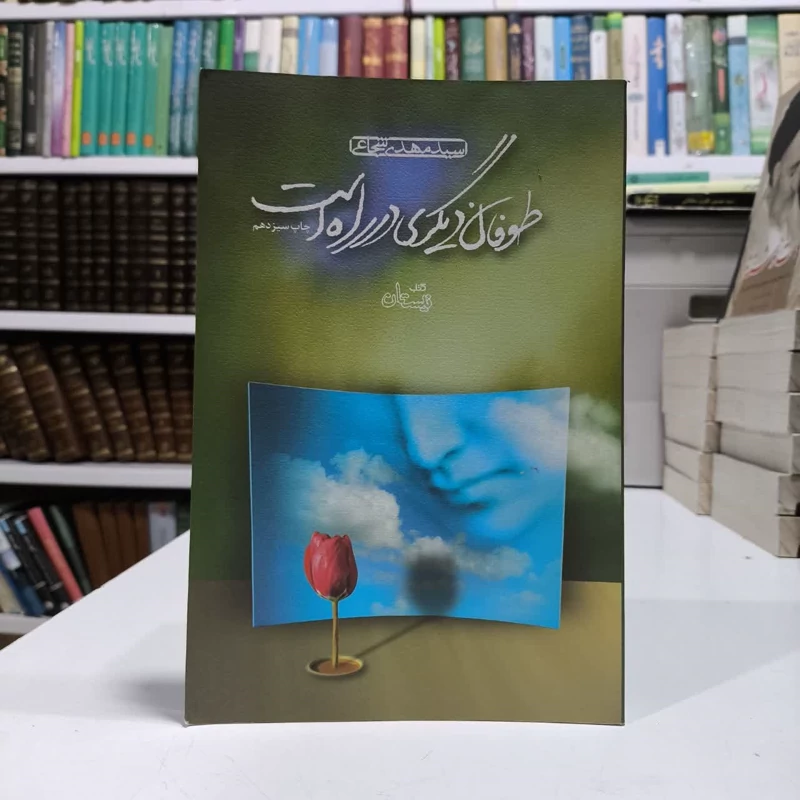 طوفان دیگری در راه است نویسنده سید مهدی شجاعی