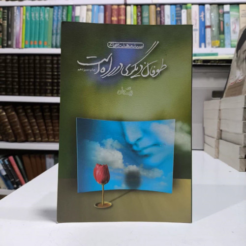 طوفان دیگری در راه است نویسنده سید مهدی شجاعی