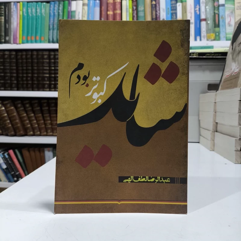 کتاب شاید کبوتر بودم نویسنده عبدالرضا لطف الهی