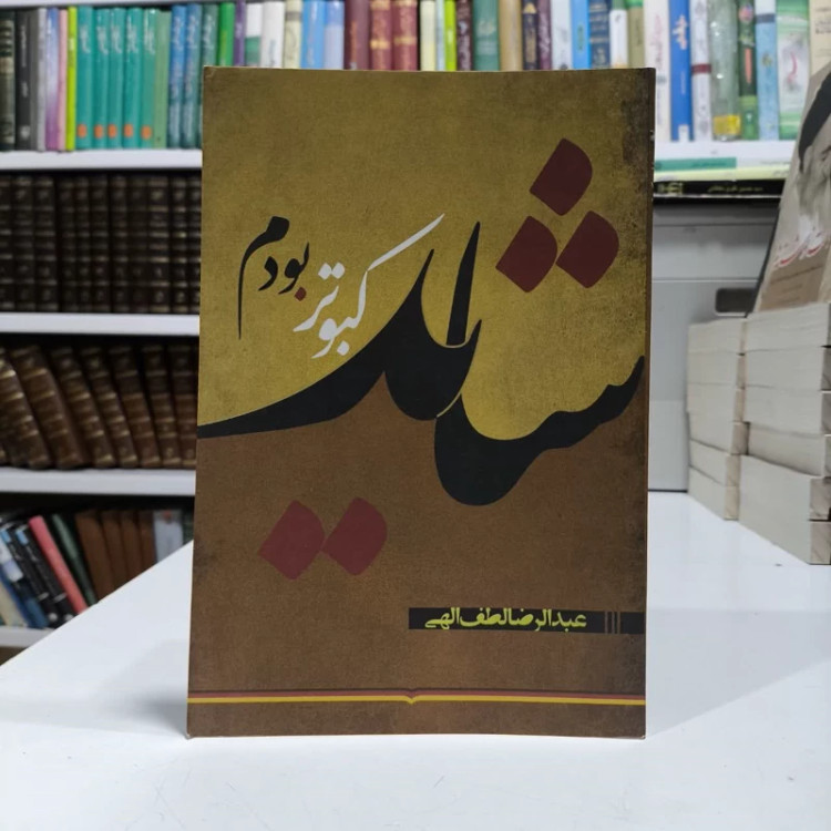 کتاب شاید کبوتر بودم نویسنده عبدالرضا لطف الهی