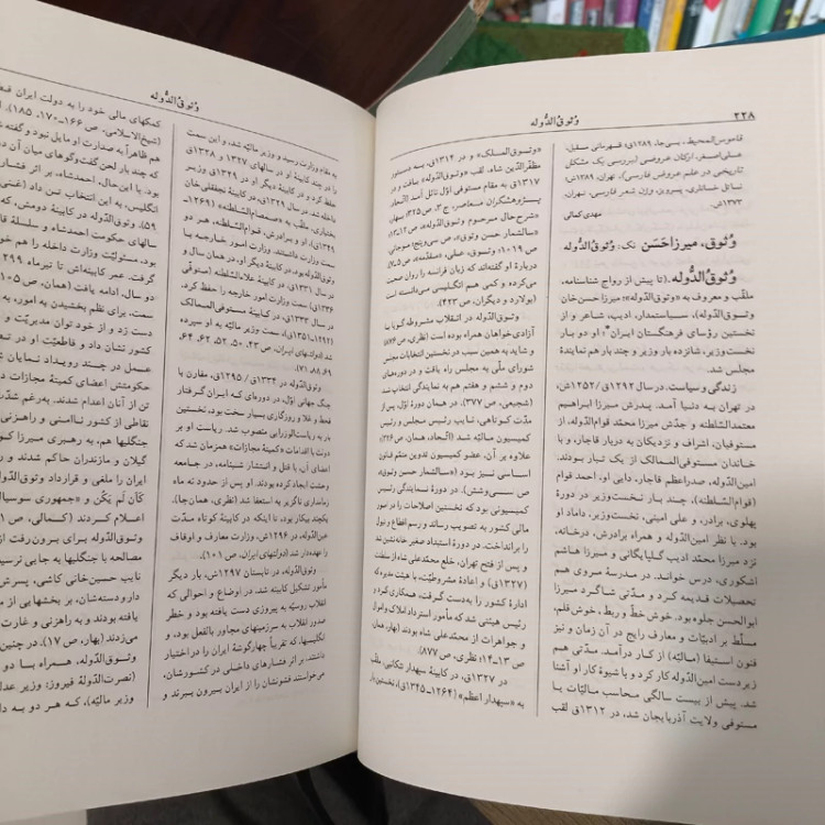 دانشنامه زبان و ادب فارسی به سرپرستی استاد اسماعیل سعادت و دکتر مسعود جعفری جزی