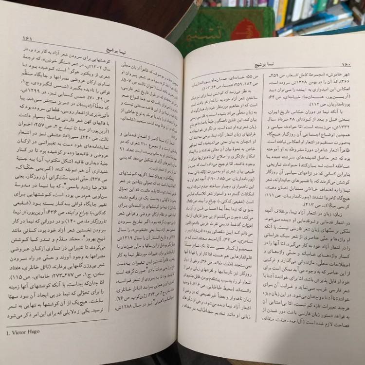 دانشنامه زبان و ادب فارسی به سرپرستی استاد اسماعیل سعادت و دکتر مسعود جعفری جزی