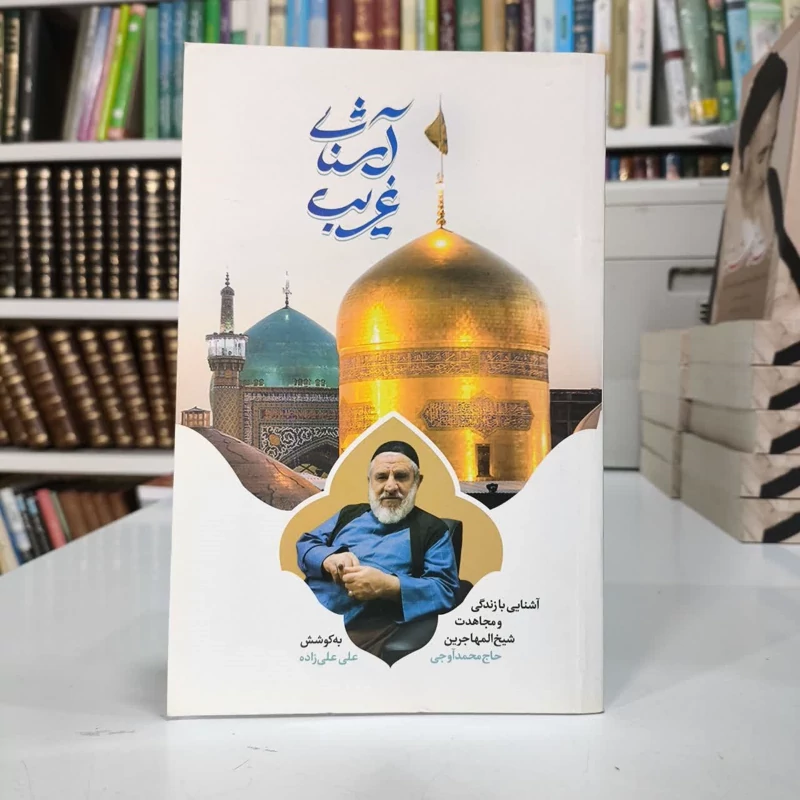 آشنای غریب نویسنده علی علیزاده