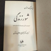 شور زندگی نویسنده ایروینگ استون مترجم محمد علی اسلامی ندوشن