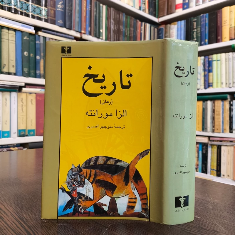 کتاب داستان زندگی یک زن نویسنده الزا مورانته ترجمه منوچهر افسری