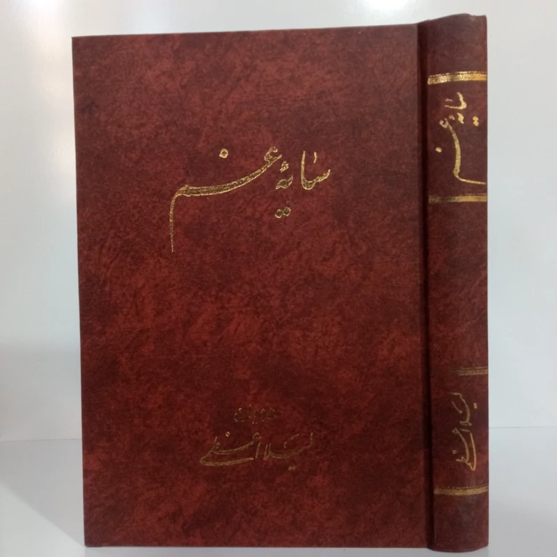 سایه غم دیوان لیلا اعظمی