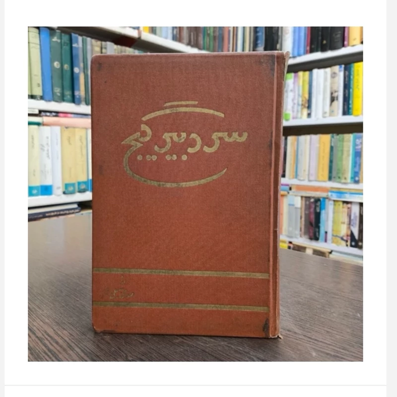 کتاب سردبیر گیج، مولف مهدی سهیلی
