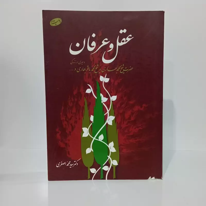 عقل و عرفان و سیری در زندگی  حضرت شیخ محمد بهاری و شیخ محمد باقر بهاری و ...  نویسنده سید محمد اصغری