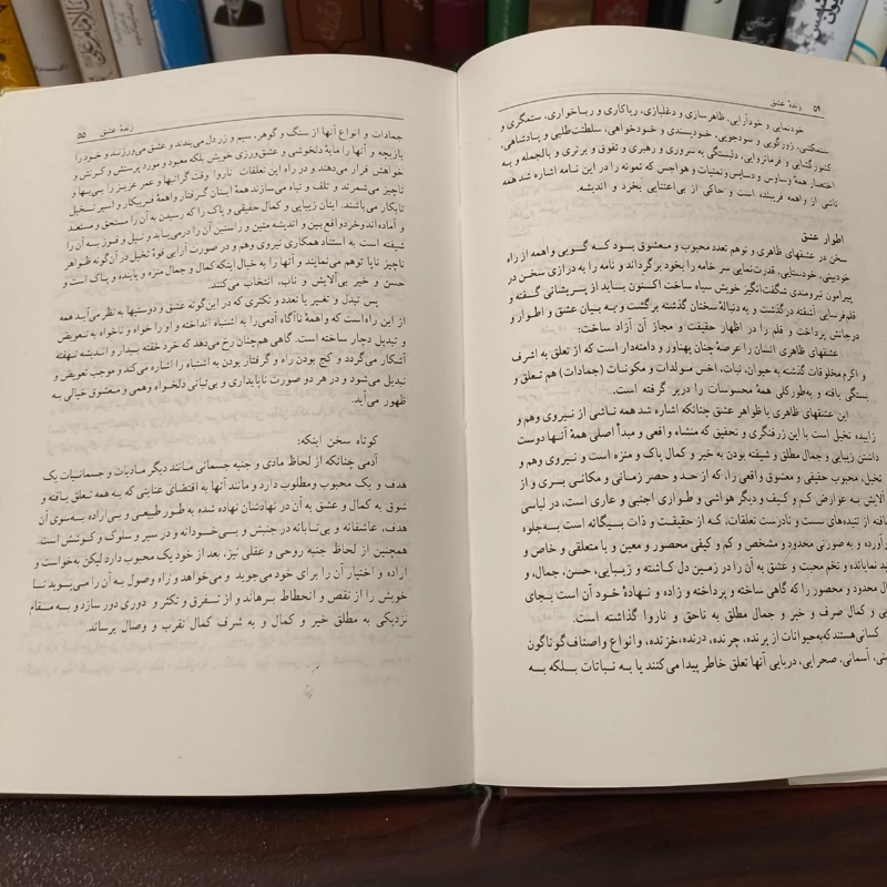 زنده عشق نویسنده محمود شهابی