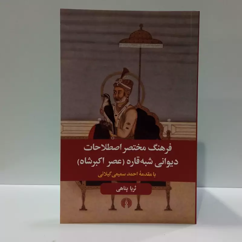کتاب فرهنگ مختصر اصطلاحات دیوانی شبه قاره نویسنده ثریا پناهی