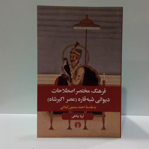 کتاب فرهنگ مختصر اصطلاحات دیوانی شبه قاره نویسنده ثریا پناهی