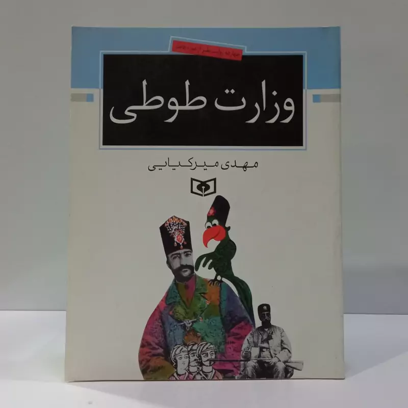 وزارت طوطی نویسنده مهدی میرکیایی