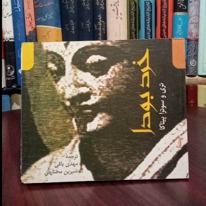 خرد بودا نویسنده تری و سوترا پیتاکا ترجمه مهدی باقی و شیرین مختاریان