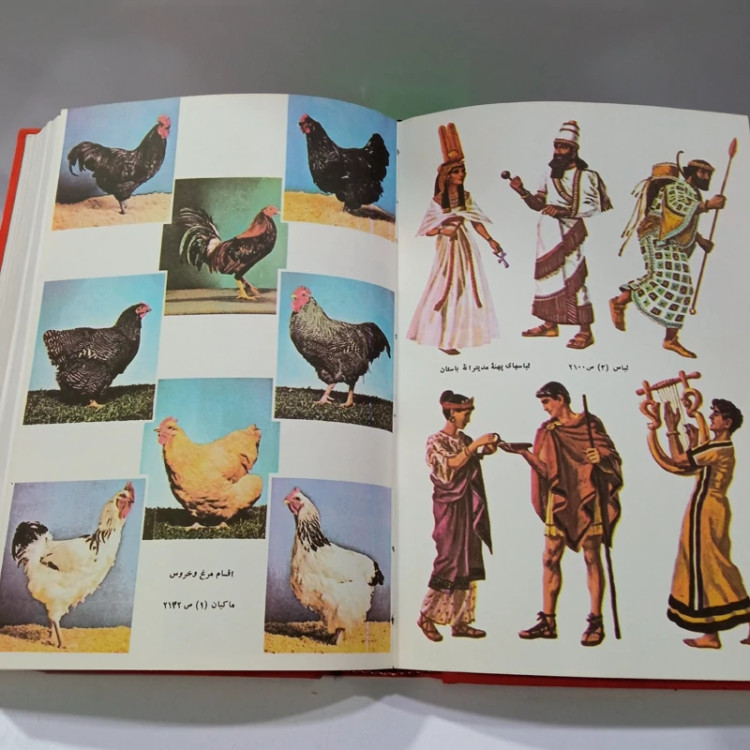 فرهنگ فارسی عمید نویسنده حسن عمید 3جلدی