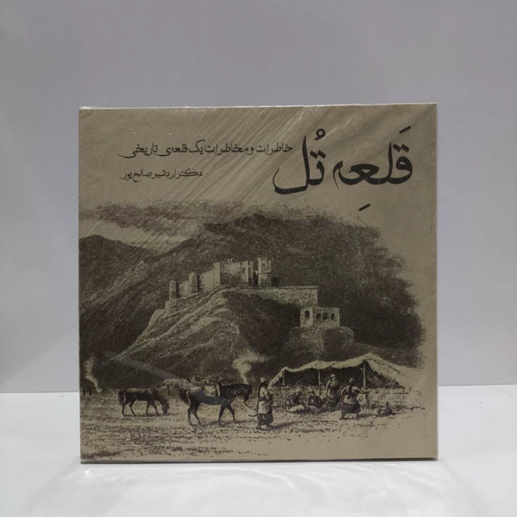 قلعه تل خاطرات و مخاطرات یک قلعه ی تاریخی نویسنده اردشیر صالح پور