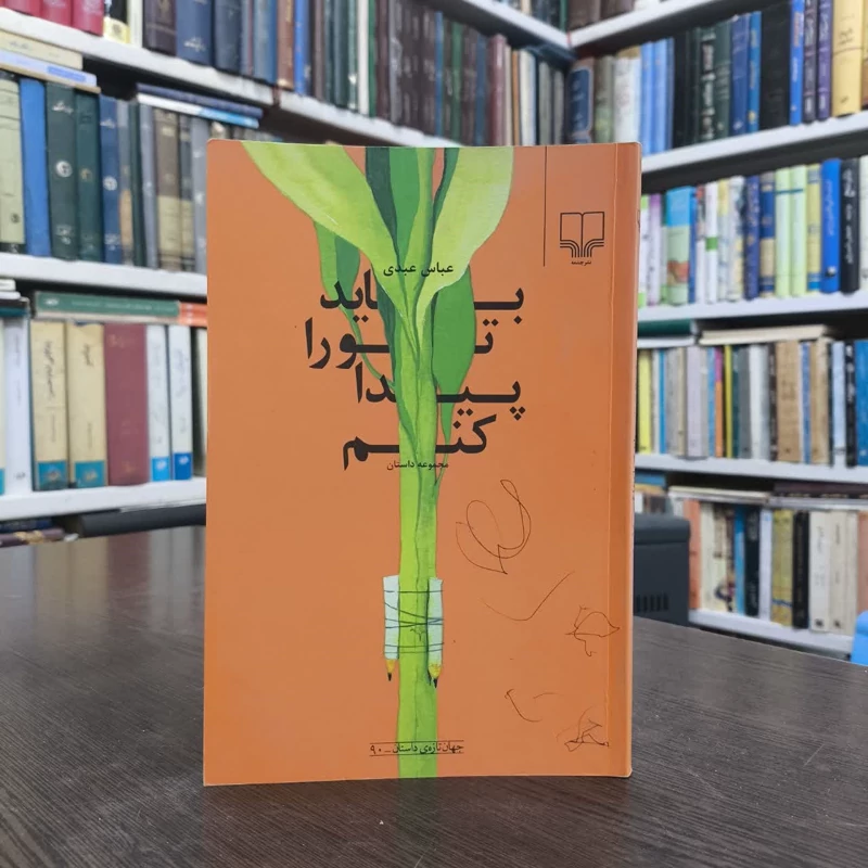 باید تو را پیدا کنم نویسنده عباس عبدی