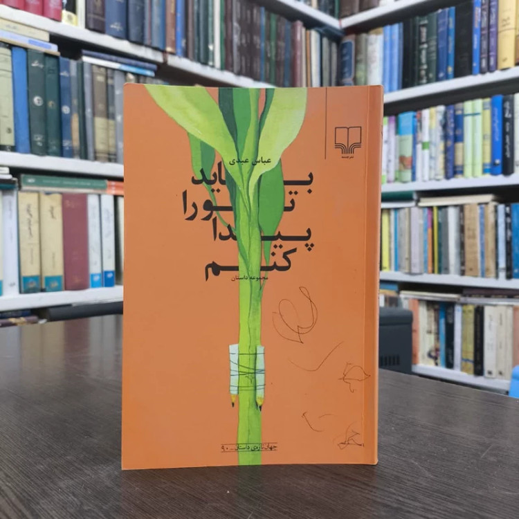 باید تو را پیدا کنم نویسنده عباس عبدی