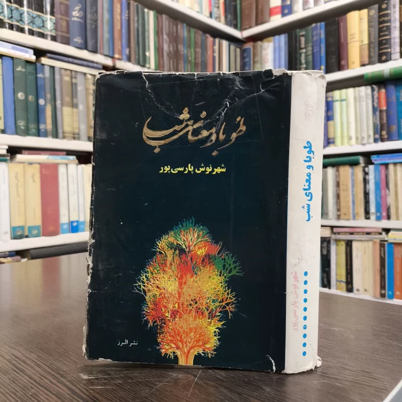 طوبا و معنای شب نویسنده شهرنوش پارسی پور