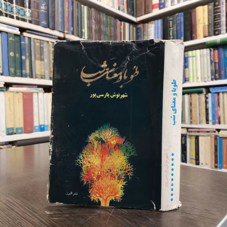 طوبا و معنای شب نویسنده شهرنوش پارسی پور