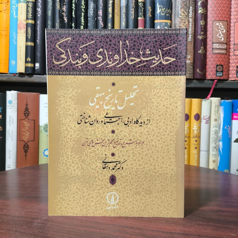 حدیث خداوندی و بندگی  تحلیل تاریخ بیهقی از دیدگاه ادبی اجتماعی روان شناختی نویسنده محمد دهقانی نشر نی