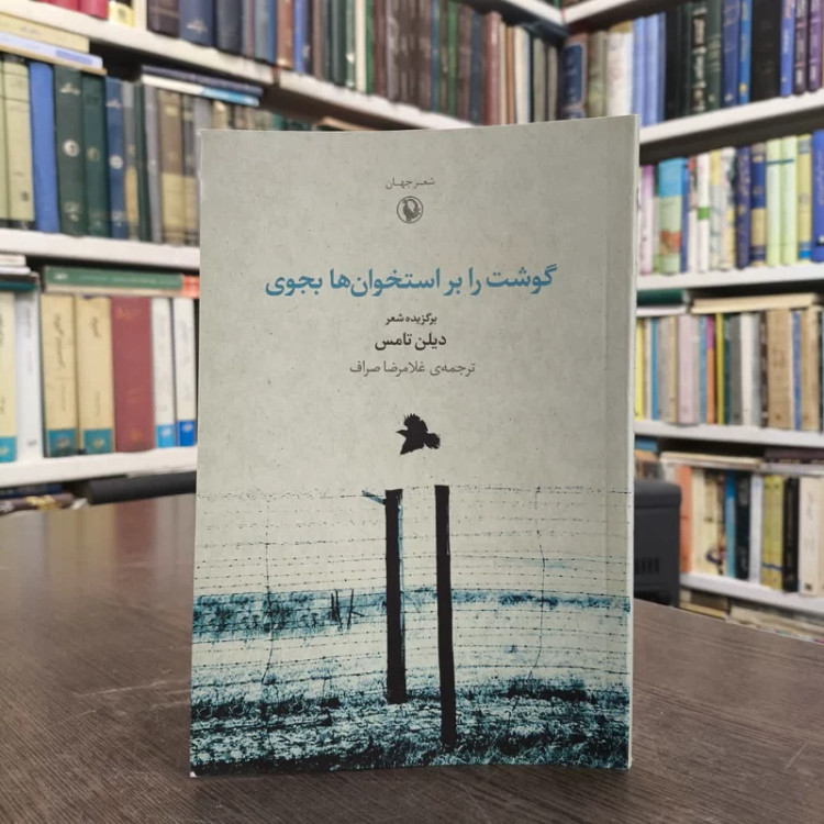 کتاب گوشت را بر استخوان ها بجوی نویسنده دیلن تامس