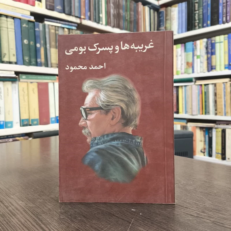 کتاب غریبه ها و پسرک بومی نویسندهداحمد محمود