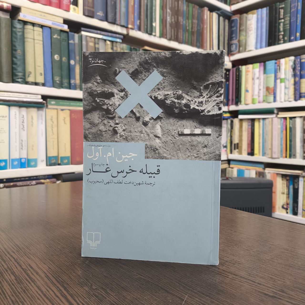 کتاب قبیله خرس غار نویسنده گجین ام آول مترجم شهین دخت لطف اللهی