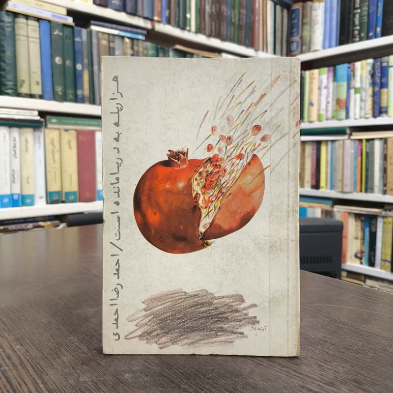هزار پله به دریا مانده است  نویسنده احمدرضا احمدی