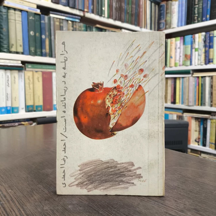 هزار پله به دریا مانده است نویسنده احمدرضا احمدی