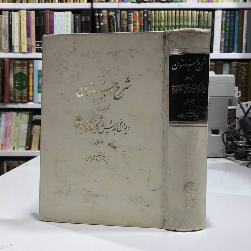 کتاب شرح جنون نویسنده احمد بهشتی شیرازی