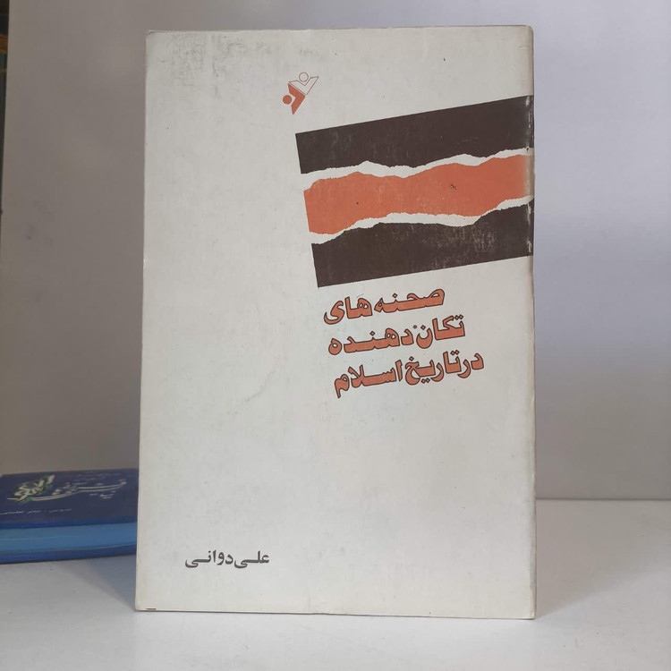 صحنه های تکان دهنده در تاریخ اسلام نویسنده محمد عبدالله عنان مترجم علی دوانی