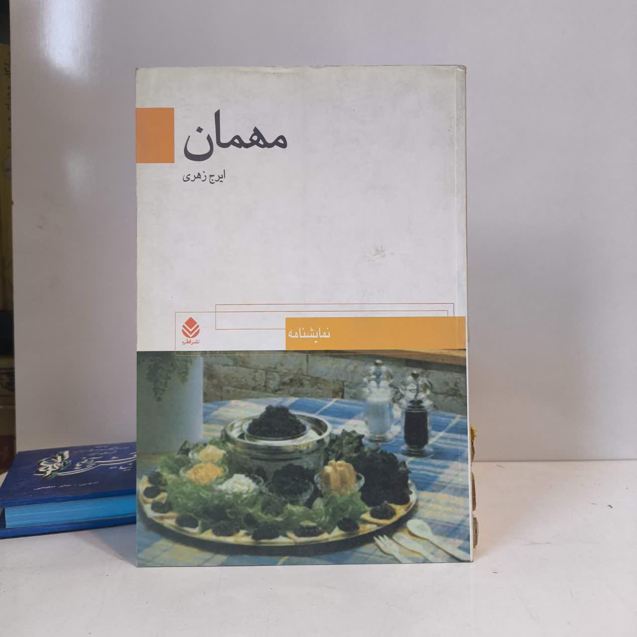 کتاب مهمان اثر ایرج زهری
