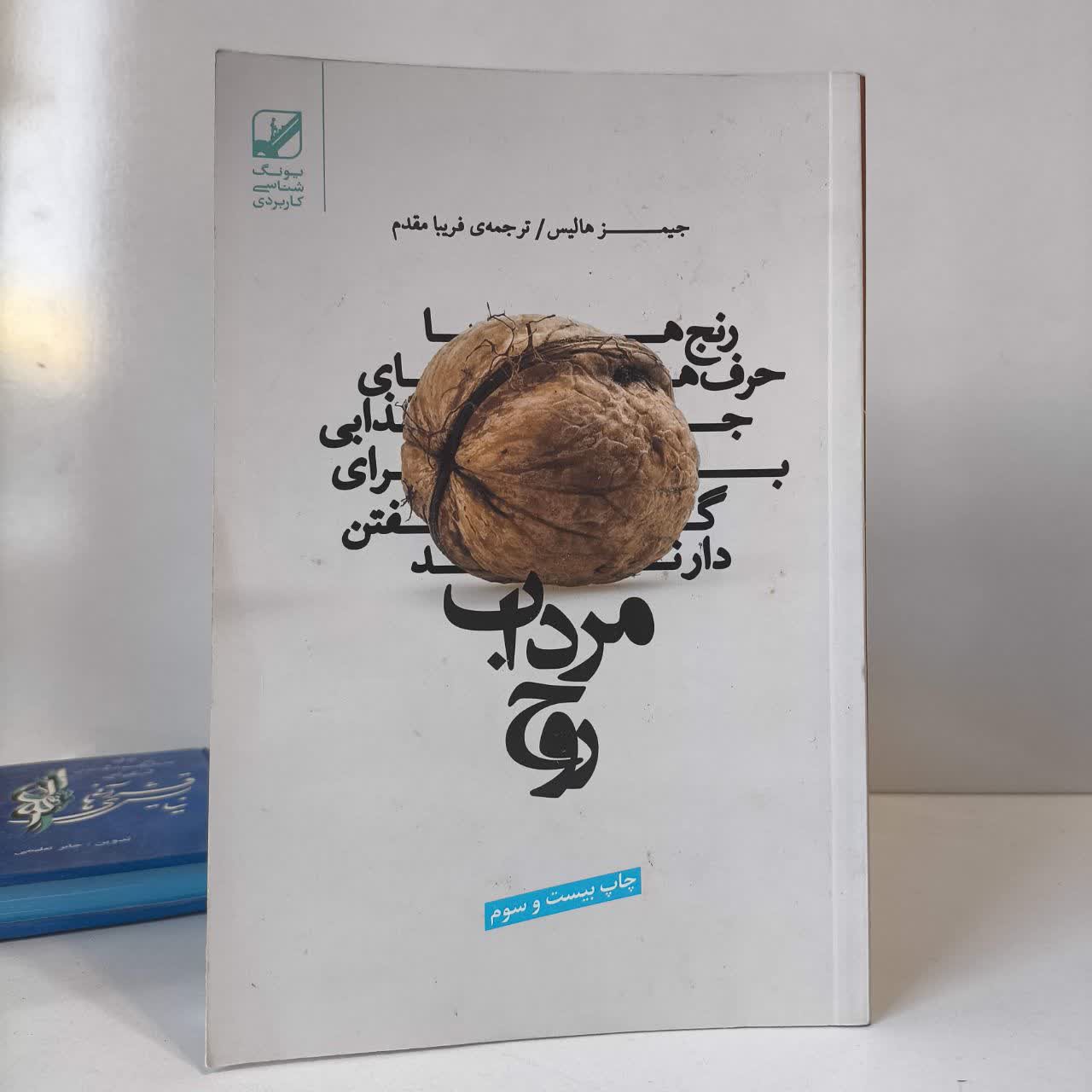 کتاب مرداب روح نویسنده جیمز هالیس مترجم فریبا مقدم