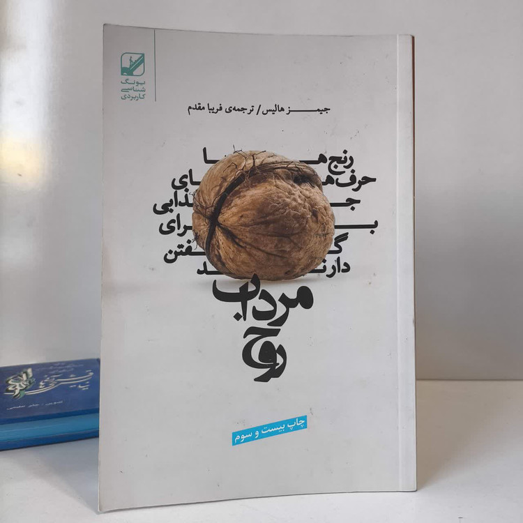 کتاب مرداب روح نویسنده جیمز هالیس مترجم فریبا مقدم