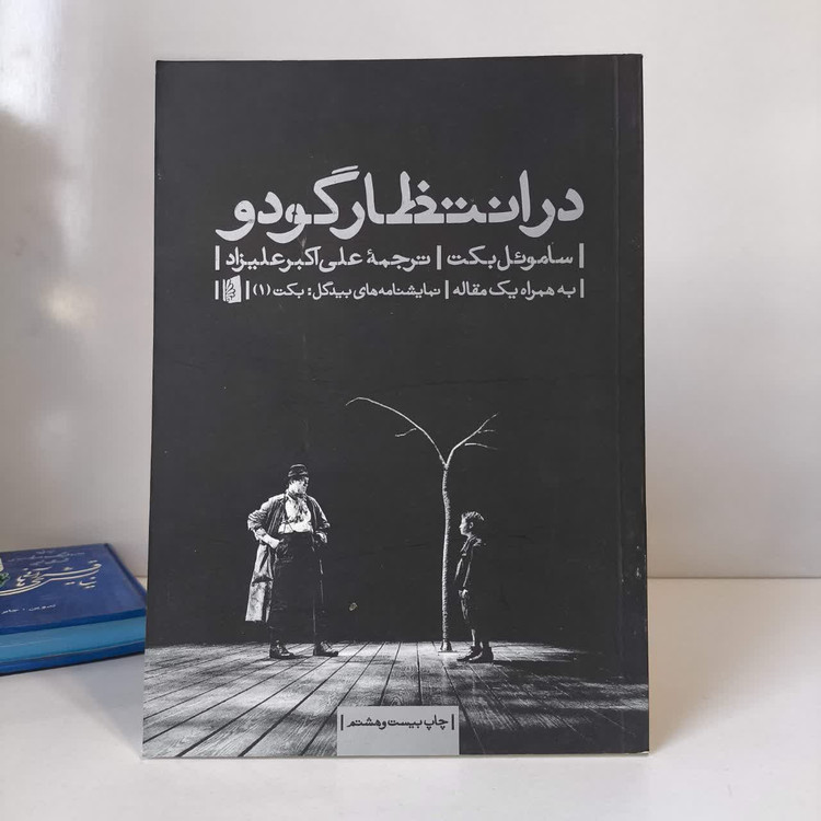 کتاب در انتظار گودو نویسنده ساموئل بکت مترجم علی اکبر علیزاد