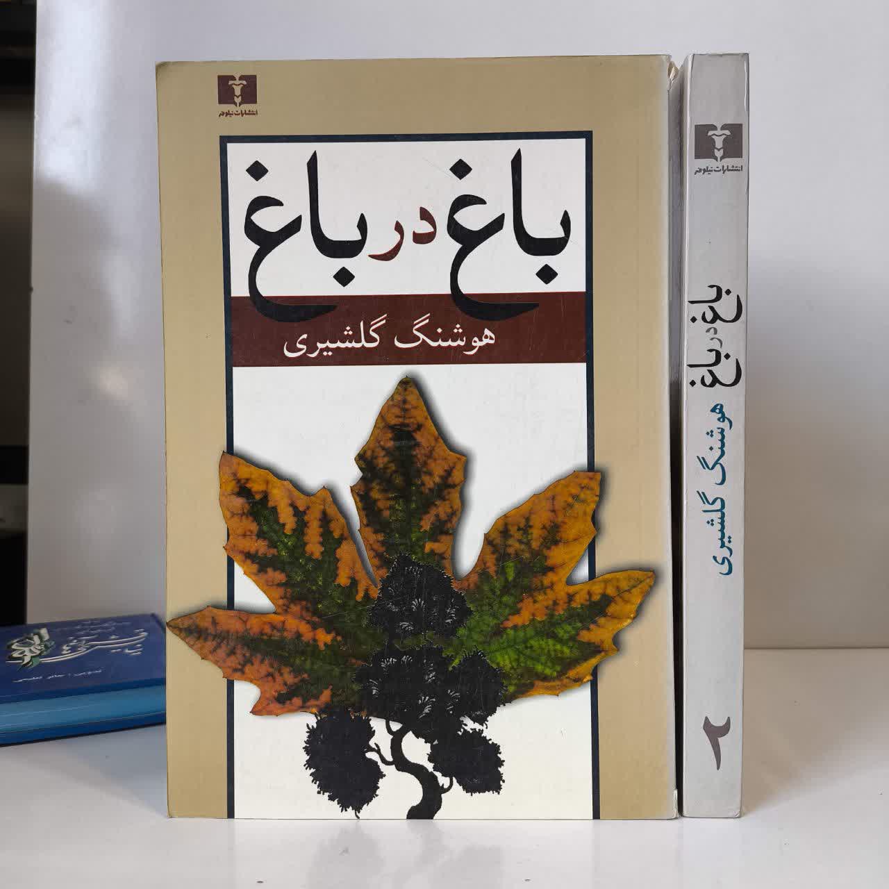 کتاب باغ در باغ (2 جلدی) نویسنده هوشنگ گلشیری