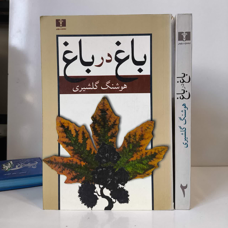 کتاب باغ در باغ (2 جلدی) نویسنده هوشنگ گلشیری