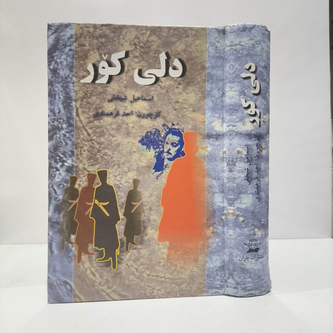 کتاب دلی کور نویسنده اسماعیل شیخلی