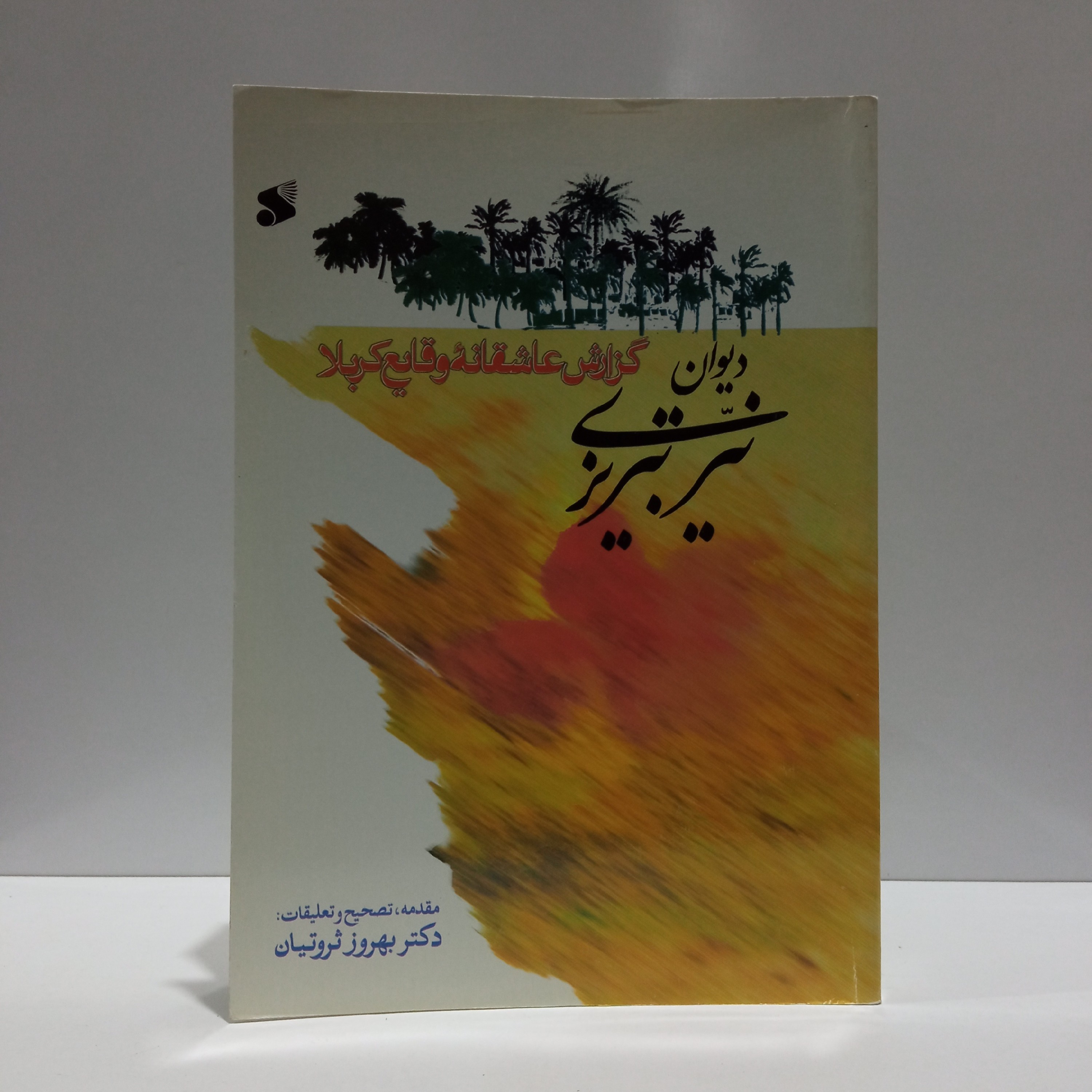 دیوان نیر میرزا محمد تقی حجت الاسلام،محقق بهروز ثروتیان